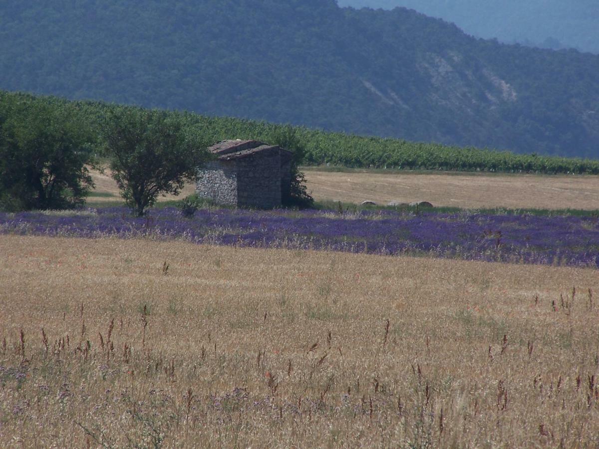 "Le Pigeonnier" Chambre D'Hote Piegros-la-Clastre ภายนอก รูปภาพ