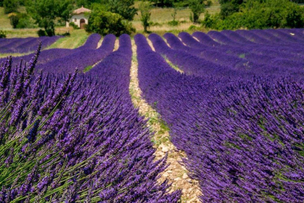 "Le Pigeonnier" Chambre D'Hote Piegros-la-Clastre ภายนอก รูปภาพ